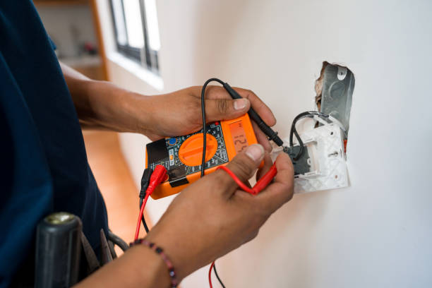 Best Residential Electrician Services  in Roma, TX