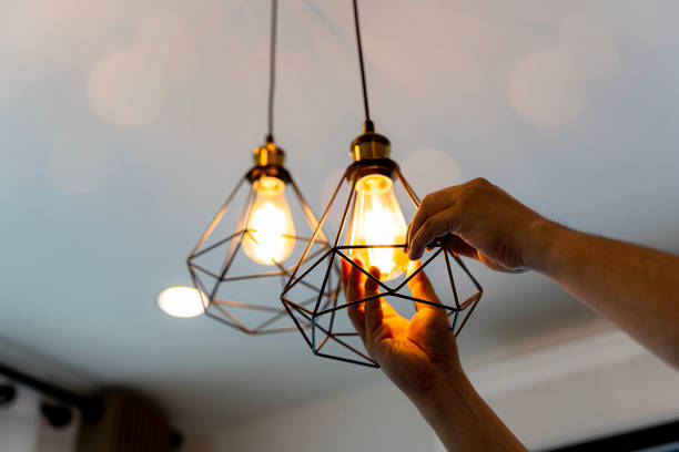 Best Electric Panel Repair  in Roma, TX