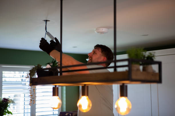 Best Local Electrician Companies  in Roma, TX