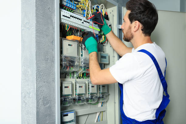 Best Licensed Electrician  in Roma, TX