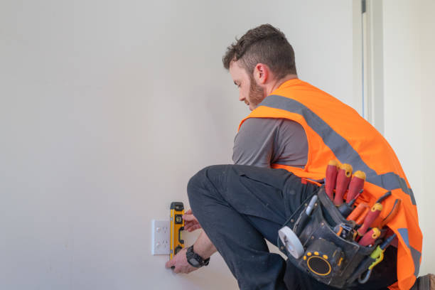Best Residential Electrician Services  in Roma, TX